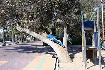 Torrevieja 2012