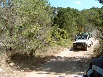 Safari