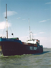 Yeoman Rose