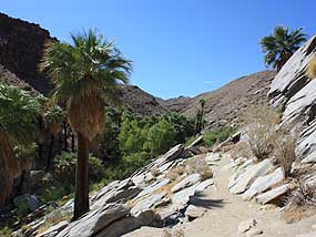 Best Western Inn Palm Springs